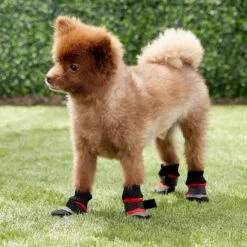 Ethical Pet Fashion Lookin' Good Extreme All Weather Boots, 4 Count -Dog Supply Store 71442 PT4. AC SS1800 V1534453061