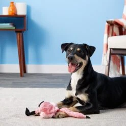 Ethical Pet Skinneeez Exotic Series Pink Flamingo Stuffing-Free Squeaky Plush Dog Toy -Dog Supply Store 71468 PT7. AC SS1800 V1527093265