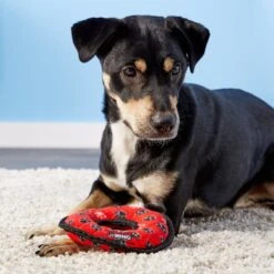 Tuffy's Junior Ring Squeaky Plush Dog Toy -Dog Supply Store 72145 PT3. AC SS1800 V1589493099