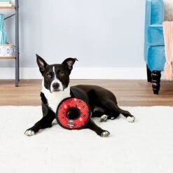 Tuffy's Junior Ring Squeaky Plush Dog Toy -Dog Supply Store 72145 PT5. AC SS1800 V1589493117