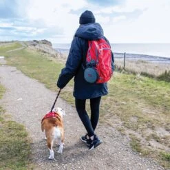 KONG Fold-Up Double Dog Bowl 10 KONG Fold-Up Double Dog Bowl -Dog Supply Store 721518 PT4. AC SS1800 V1671029542