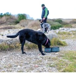 KONG Fold-Up Double Dog Bowl 11 KONG Fold-Up Double Dog Bowl -Dog Supply Store 721518 PT5. AC SS1800 V1671031277