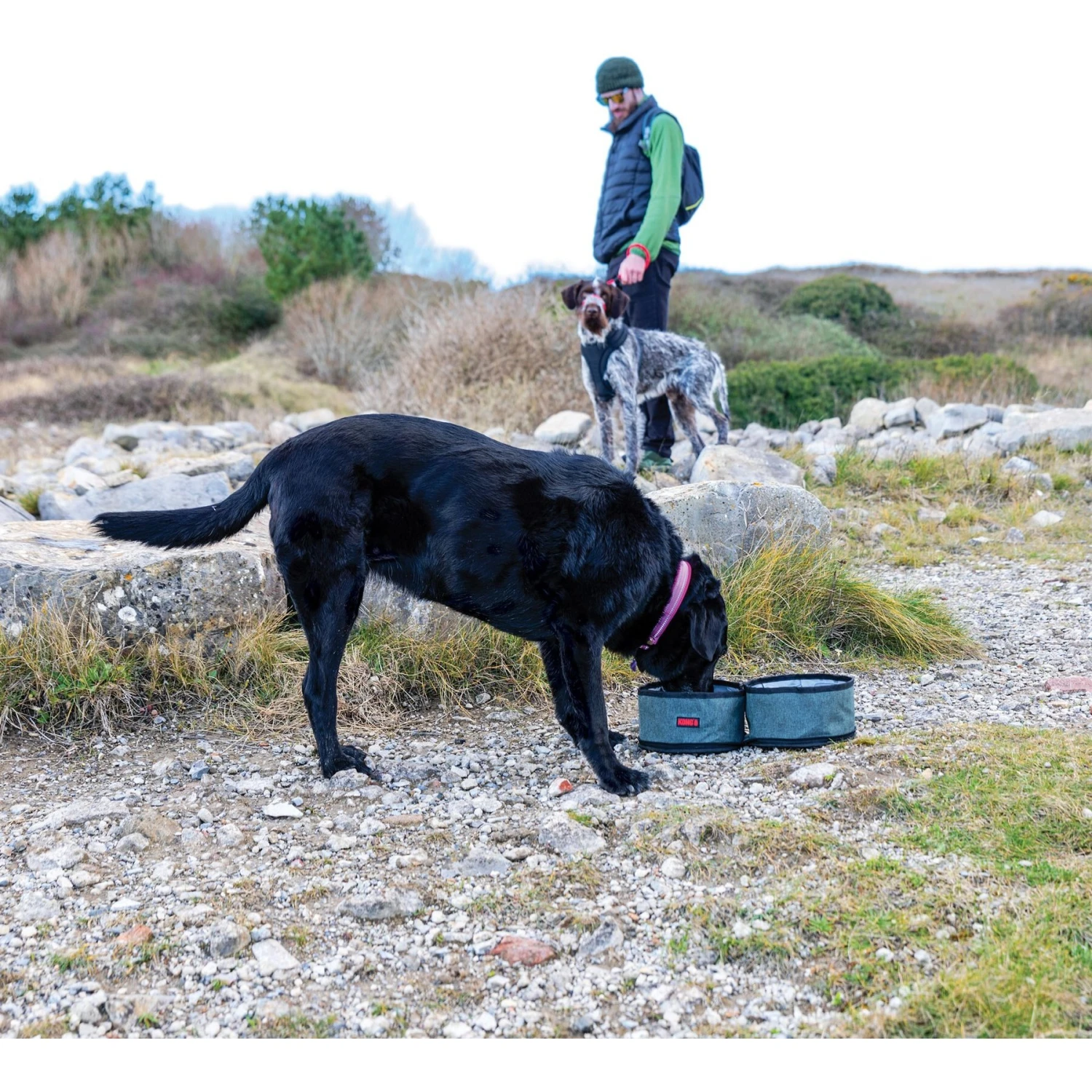 KONG Fold-Up Double Dog Bowl 6 KONG Fold-Up Double Dog Bowl - Image 6