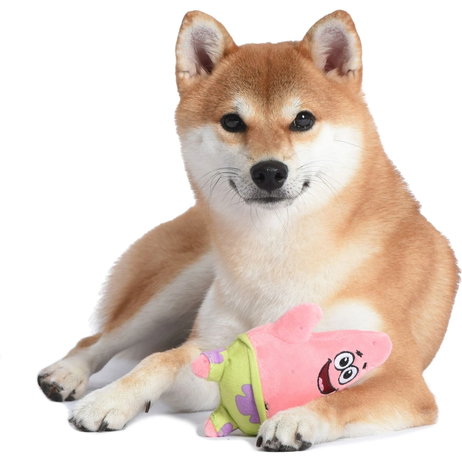 Fetch For Pets Spongebob Patrick Figure Plush Squeaky Dog Toy 4 Fetch For Pets Spongebob Patrick Figure Plush Squeaky Dog Toy - Image 4