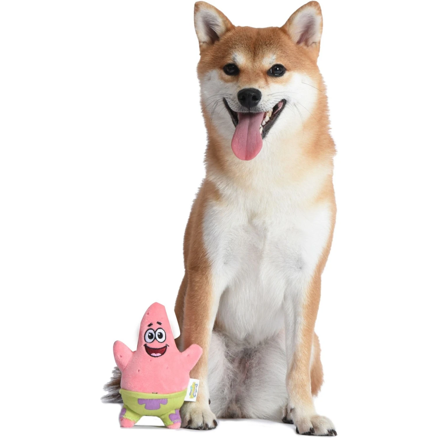 Fetch For Pets Spongebob Patrick Figure Plush Squeaky Dog Toy 5 Fetch For Pets Spongebob Patrick Figure Plush Squeaky Dog Toy - Image 5