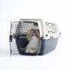 Petmate Vari Dog & Cat Kennel