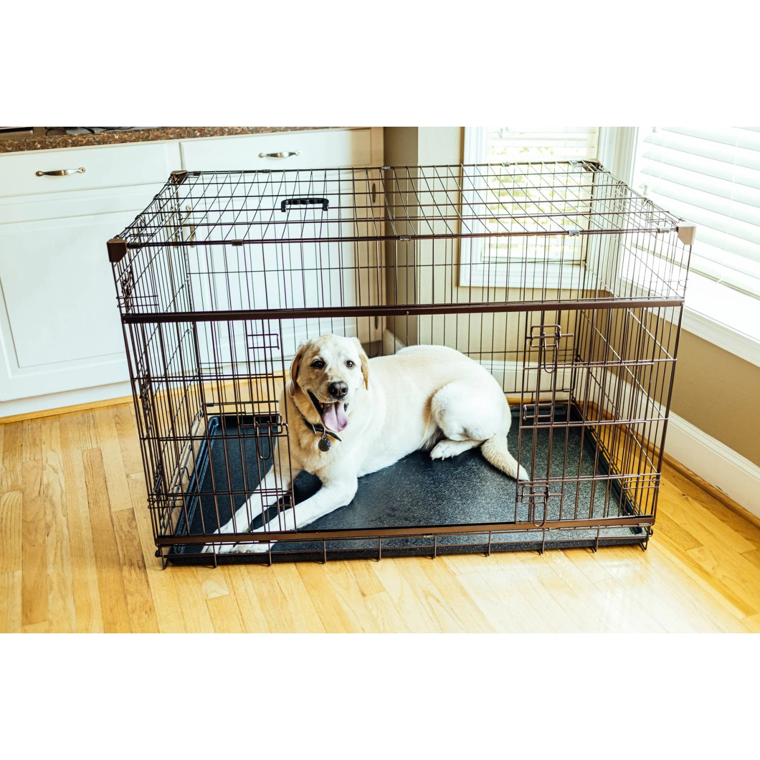 Lucky Dog DWELL Series Dog Crate 1 Lucky Dog DWELL Series Dog Crate