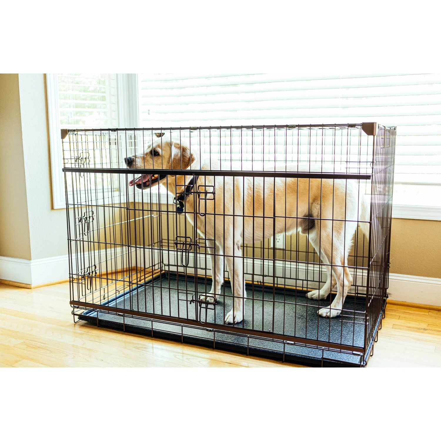 Lucky Dog DWELL Series Dog Crate 4 Lucky Dog DWELL Series Dog Crate - Image 4