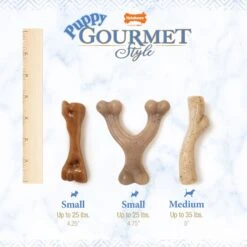 Nylabone Puppy Gourmet Style Strong Chew Dog Toys, Bacon, Chicken, Peanut Butter -Dog Supply Store 737918 PT2. AC SS1800 V1677532884