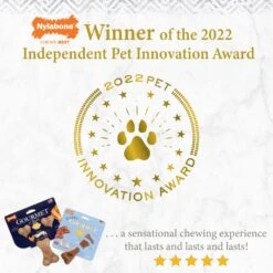 Nylabone Puppy Gourmet Style Strong Chew Dog Toys, Bacon, Chicken, Peanut Butter -Dog Supply Store 737918 PT3. AC SS1800 V1677531787