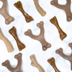 Nylabone Puppy Gourmet Style Strong Chew Dog Toys, Bacon, Chicken, Peanut Butter -Dog Supply Store 737918 PT7. AC SS1800 V1677532160