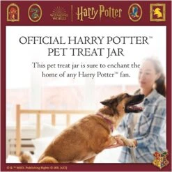 Fetch For Pets Harry Potter Hedwig Dog Treat Jar -Dog Supply Store 738710 PT2. AC SS1800 V1678907363