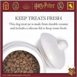 Fetch For Pets Harry Potter Hedwig Dog Treat Jar -Dog Supply Store 738710 PT4. AC SS1800 V1678907363