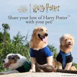 Fetch For Pets Harry Potter Hedwig Dog Treat Jar -Dog Supply Store 738710 PT6. AC SS1800 V1678906022