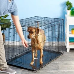 Precision Pet Products Provalu Double Door Collapsible Wire Dog Crate -Dog Supply Store 74070 PT7. AC SS1800 V1496757266