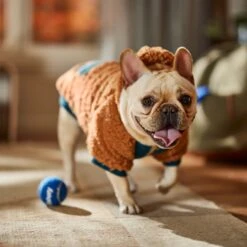 Frisco Wubby Textured Fleece Dog & Cat Hoodie W/ Pocket -Dog Supply Store 742510 PT7. AC SS1800 V1692377765