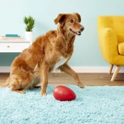 Jolly Pets Jolly Egg Dog Toy, Red 8 Jolly Pets Jolly Egg Dog Toy, Red -Dog Supply Store 74520 PT3. AC SS1800 V1530546160