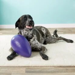 Jolly Pets Jolly Egg Dog Toy, Purple -Dog Supply Store 74529 PT8. AC SS1800 V1506968381