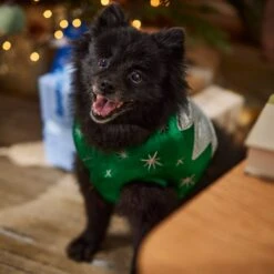 Frisco Ornament Dog & Cat Costume -Dog Supply Store 745510 PT7. AC SS1800 V1694795535