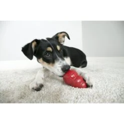 MidWest ICrate Fold & Carry Double Door Collapsible Wire Dog Crate & KONG Classic Dog Toy -Dog Supply Store 752366 PT8. AC SS1800 V1672928527