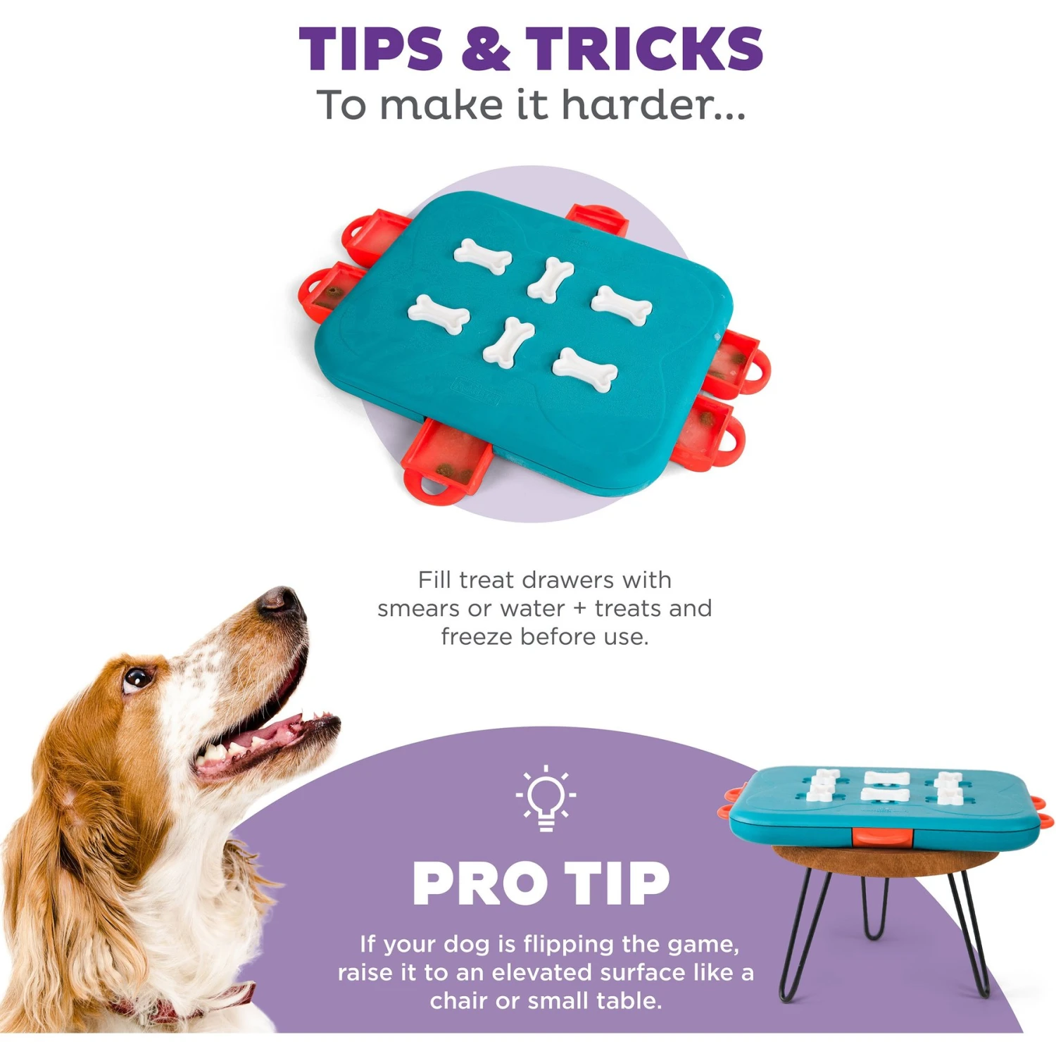 Nina Ottosson By Outward Hound Casino Puzzle Game Dog Toy 5 Nina Ottosson By Outward Hound Casino Puzzle Game Dog Toy - Image 5