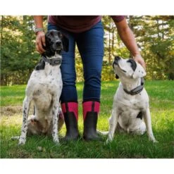 SpotOn Fence Verizon GPS Dog Fence -Dog Supply Store 757574 PT7. AC SS1800 V1674769811