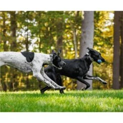 SpotOn Fence Verizon GPS Dog Fence -Dog Supply Store 757574 PT8. AC SS1800 V1674769418