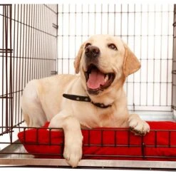 KOPEKS Heavy Duty Multipurpose Steel Replacement Pet Crate Tray -Dog Supply Store 758502 PT2. AC SS1800 V1674494919