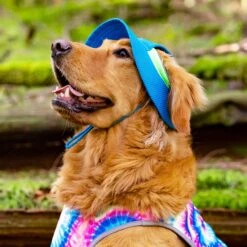 Canada Pooch Chill Seeker Cooling Dog Hat -Dog Supply Store 758798 PT3. AC SS1800 V1677532826