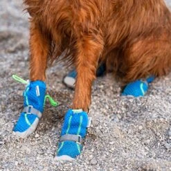 Canada Pooch Hot Pavement Dog Boots -Dog Supply Store 758982 PT3. AC SS1800 V1677535266