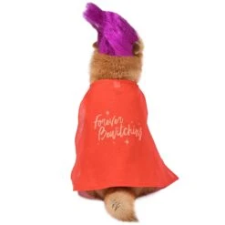 Disney Hocus Pocus Halloween Mary Sanderson Cape & Pet Wig Dog Costume With PVC Bag & Insert Card -Dog Supply Store 763478 PT2. AC SS1800 V1686850817