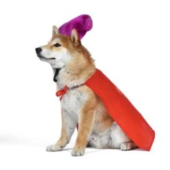 Disney Hocus Pocus Halloween Mary Sanderson Cape & Pet Wig Dog Costume With PVC Bag & Insert Card -Dog Supply Store 763478 PT4. AC SS1800 V1686850039