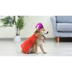 Disney Hocus Pocus Halloween Mary Sanderson Cape & Pet Wig Dog Costume With PVC Bag & Insert Card -Dog Supply Store 763478 PT5. AC SS1800 V1686849978