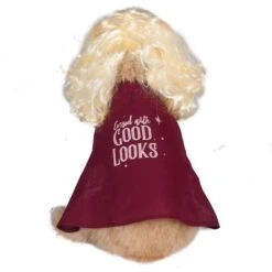 Disney Hocus Pocus Halloween Sarah Sanderson Cape & Pet Wig Dog Costume With PVC Bag & Insert Card -Dog Supply Store 763518 PT2. AC SS1800 V1686849985