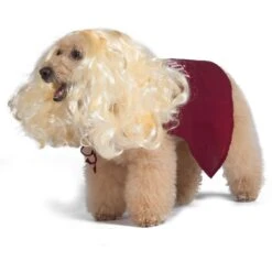 Disney Hocus Pocus Halloween Sarah Sanderson Cape & Pet Wig Dog Costume With PVC Bag & Insert Card -Dog Supply Store 763518 PT3. AC SS1800 V1686850100
