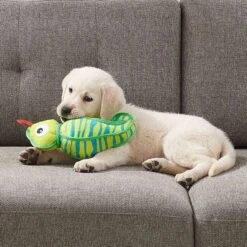 Outward Hound Xtreme Seamz Lizard Squeaky Durable Dog Toy, Green, Medium -Dog Supply Store 786382 PT5. AC SS1800 V1682627948