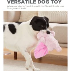 Outward Hound Blanket Buddies Pink Lamb Small Blacket Treat & Squeaky Dog Toy, Pink -Dog Supply Store 786750 PT4. AC SS1800 V1682620841