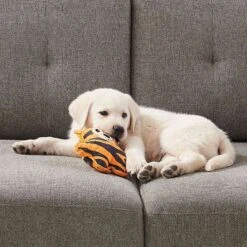 Outward Hound Xtreme Seamz Tiger Durable Squeaky Dog Toy, Orange, Medium 12 Outward Hound Xtreme Seamz Tiger Durable Squeaky Dog Toy, Orange, Medium -Dog Supply Store 786782 PT5. AC SS1800 V1682621041