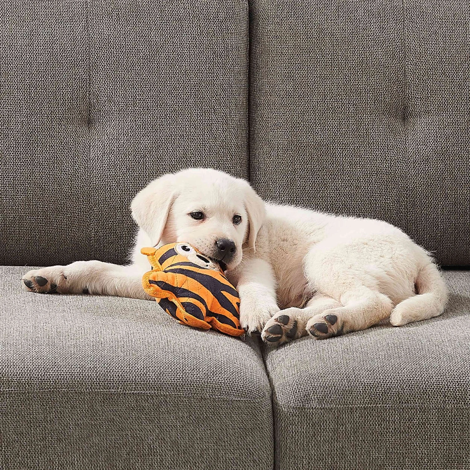 Outward Hound Xtreme Seamz Tiger Durable Squeaky Dog Toy, Orange, Medium 6 Outward Hound Xtreme Seamz Tiger Durable Squeaky Dog Toy, Orange, Medium - Image 6