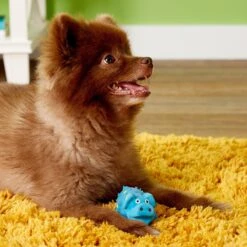 Multipet Latex Polka Dot Globlet Squeaky Pig Dog Toy -Dog Supply Store 78724 PT8. AC SS1800 V1506976551