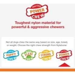 Nylabone Power Chew Baguette Dog Toy Chicken -Dog Supply Store 794742 PT6. AC SS1800 V1689707871