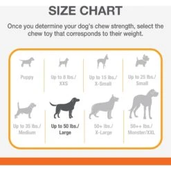 Nylabone Power Chew Baguette Dog Toy Chicken -Dog Supply Store 794742 PT7. AC SS1800 V1689706188