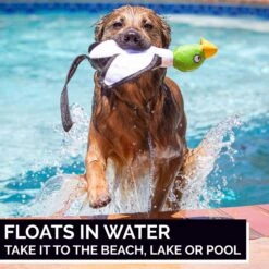 Hyper Pet Flying Series Dog Toy -Dog Supply Store 80093 PT3. AC SS1800 V1605657406