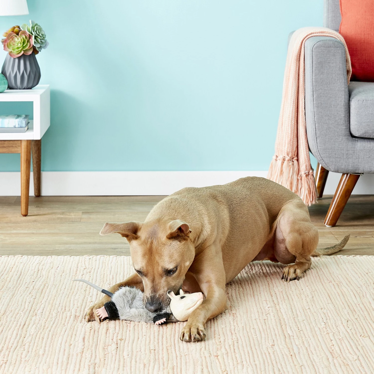 Hyper Pet Real Skinz Dog Toy 2 Hyper Pet Real Skinz Dog Toy - Image 2