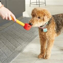 Brightkins Pooch School! Training Set Dog Toys -Dog Supply Store 805342 PT3. AC SS1800 V1682450379