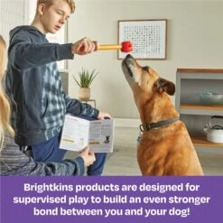 Brightkins Pooch School! Training Set Dog Toys -Dog Supply Store 805342 PT5. AC SS1800 V1682450384