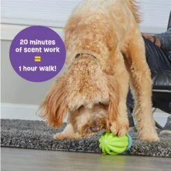 Brightkins Cactus Surprise! Treat Dispensing Dog Toy 9 Brightkins Cactus Surprise! Treat Dispensing Dog Toy -Dog Supply Store 805422 PT3. AC SS1800 V1682450547