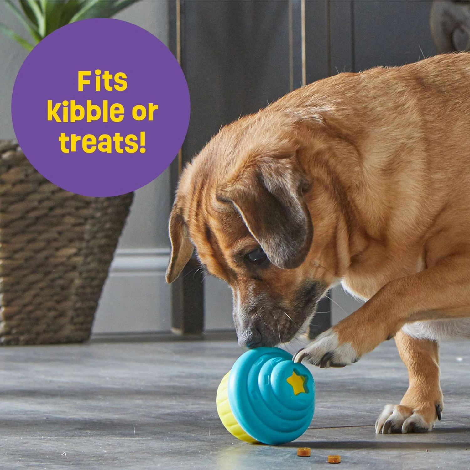 Brightkins Small Cupcake Treat Dispenser Dog Toy 5 Brightkins Small Cupcake Treat Dispenser Dog Toy - Image 5