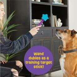 Brightkins Magic Wand! Star Treat Dispensing Dog Tpy 8 Brightkins Magic Wand! Star Treat Dispensing Dog Tpy -Dog Supply Store 805454 PT2. AC SS1800 V1678999699