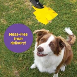 Brightkins Magic Wand! Bolt Treat Dispensing Dog Toy -Dog Supply Store 805470 PT3. AC SS1800 V1682450563